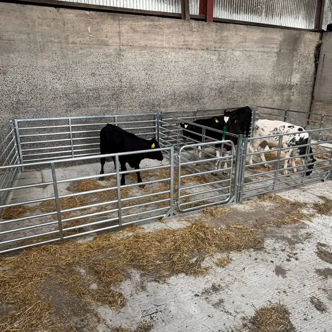 Galvanised livestock handling equipment from StockPen Supplies Ltd